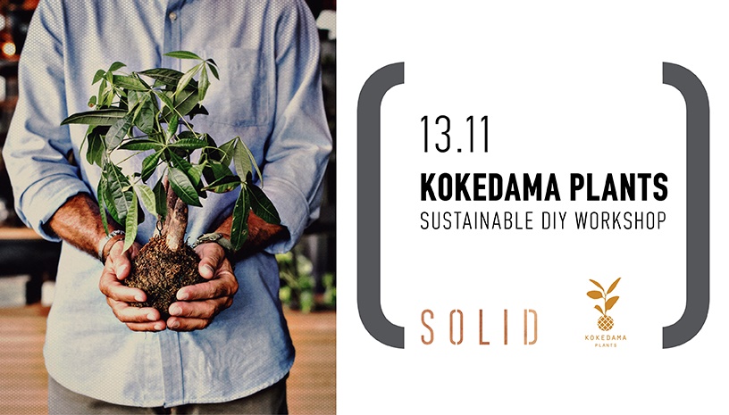 Kokedama Plants—Sustainable DIY Workshop