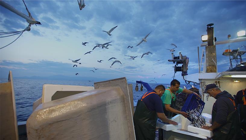 «Σιγή Ιχθύος» ένα ντοκιμαντέρ για την δουλειά των ψαράδων στην Μεσόγειο