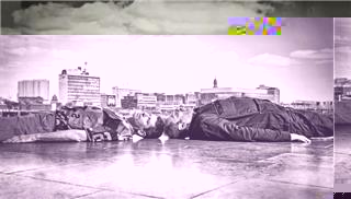Οι Optimo στο six dogs